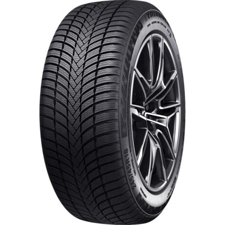255/50R19 TRIANGLE TW421 107V XL RP Studless CBB73 3PMSF M+S